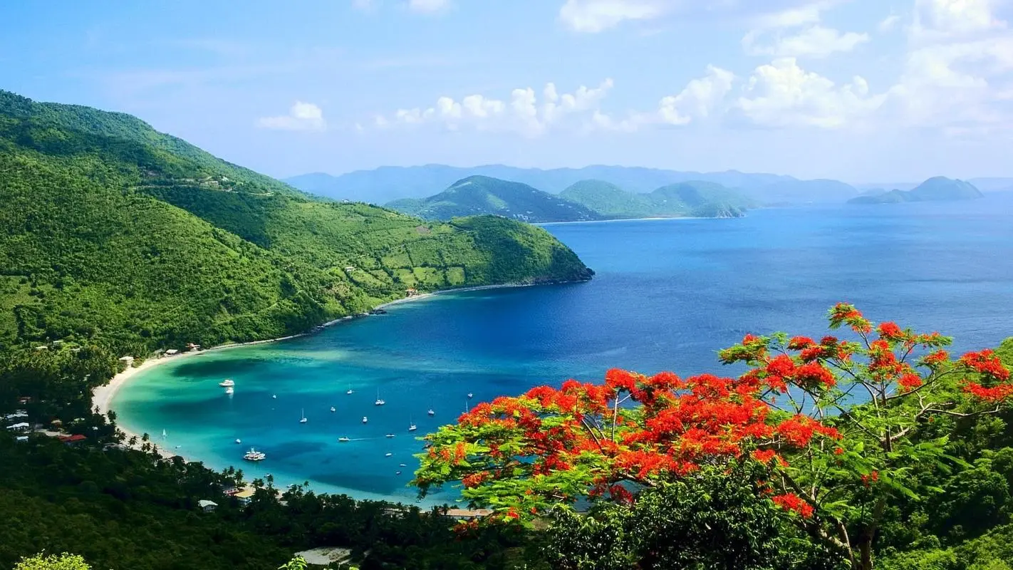 高效高标准高端